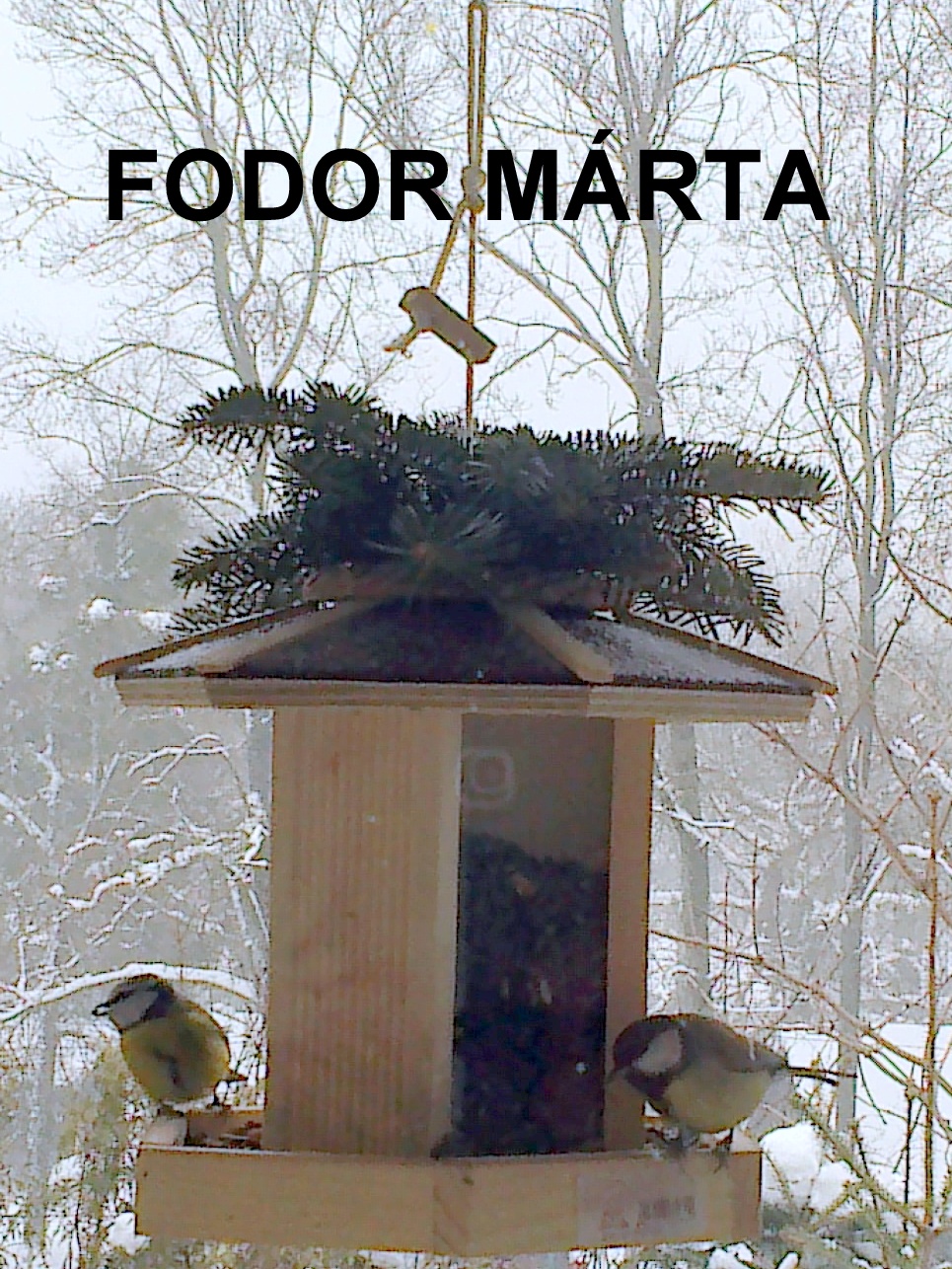 Fodor Márta okl. építészmérnök logo